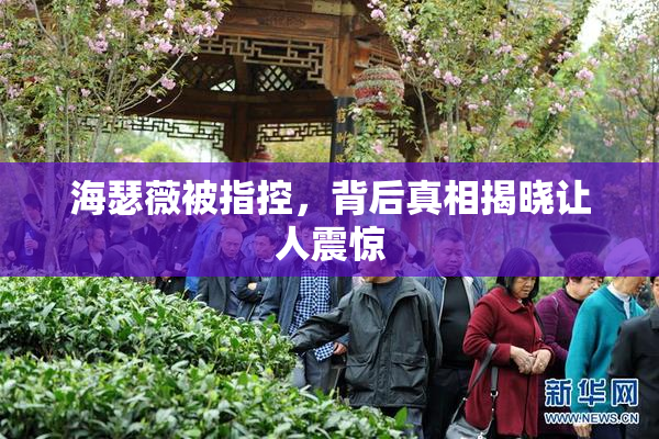 海瑟薇被指控，背后真相揭晓让人震惊