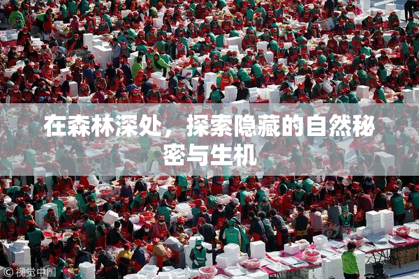 在森林深处，探索隐藏的自然秘密与生机