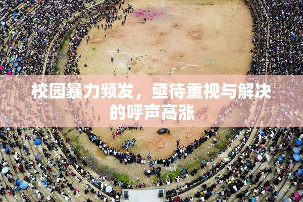 校园暴力频发，亟待重视与解决的呼声高涨