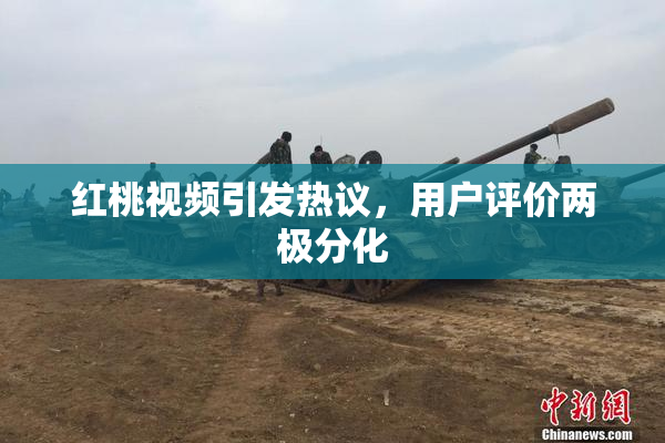 红桃视频引发热议，用户评价两极分化
