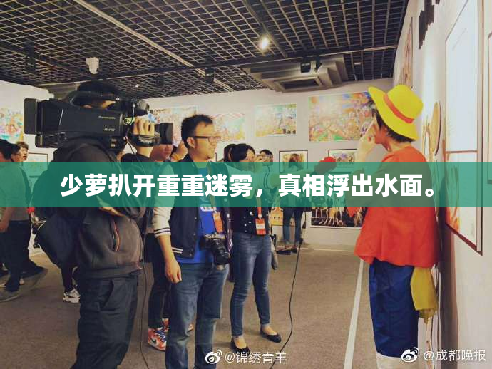 少萝扒开重重迷雾，真相浮出水面。