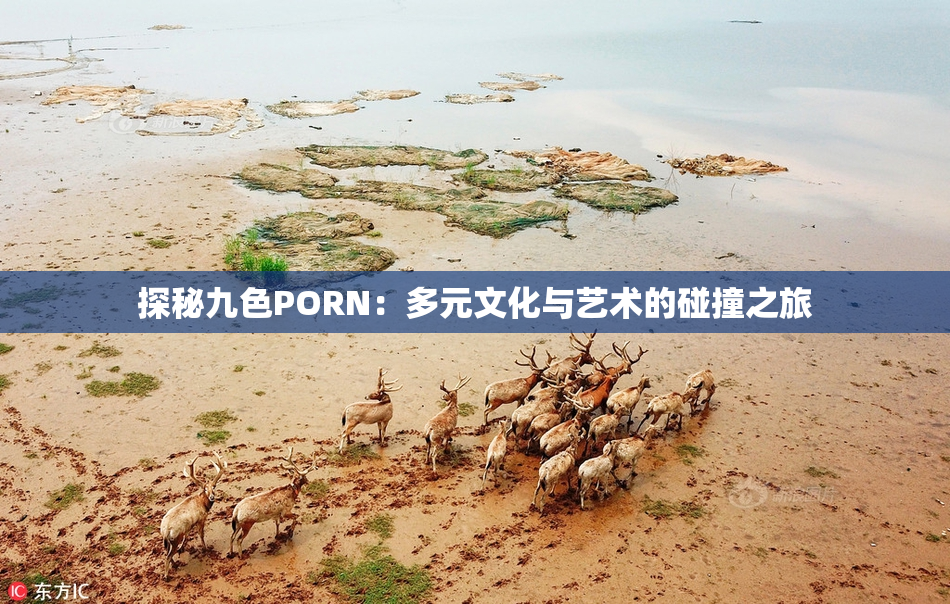 探秘九色PORN：多元文化与艺术的碰撞之旅