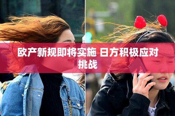 欧产新规即将实施 日方积极应对挑战