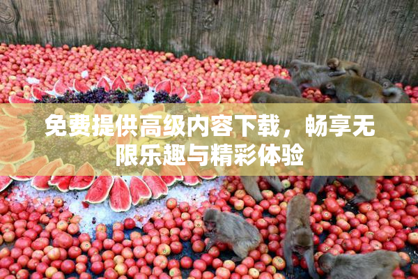 免费提供高级内容下载，畅享无限乐趣与精彩体验