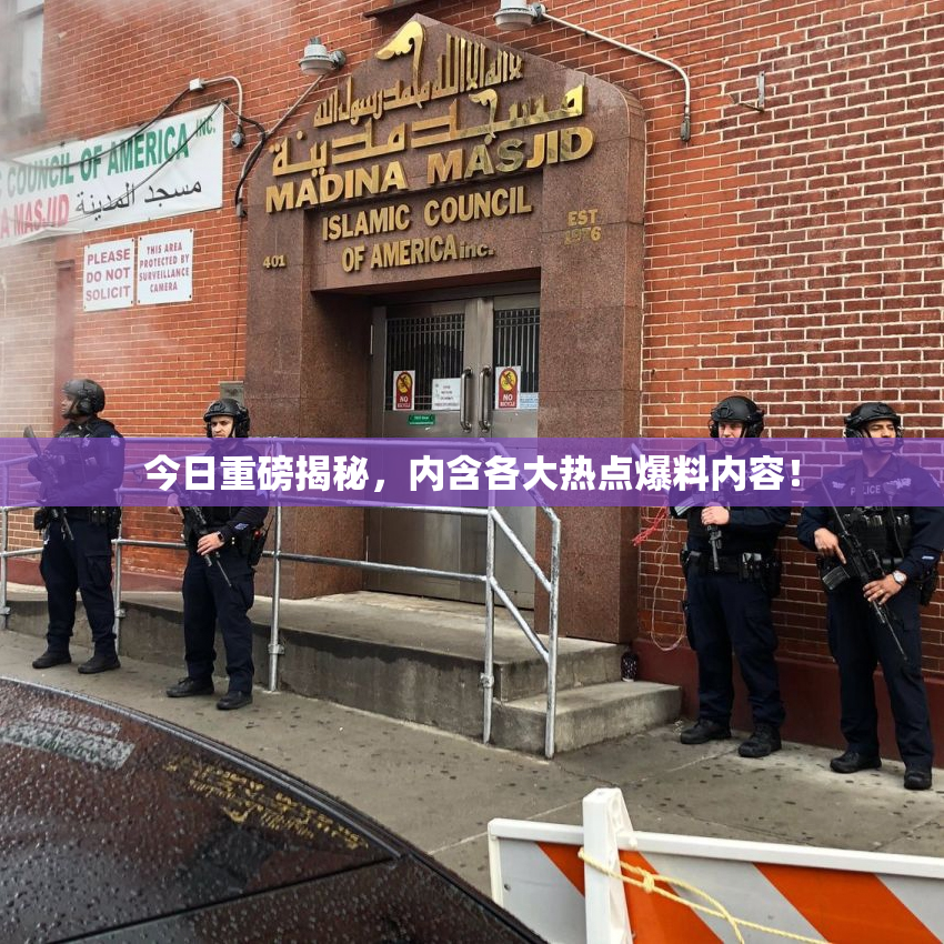今日重磅揭秘，内含各大热点爆料内容！
