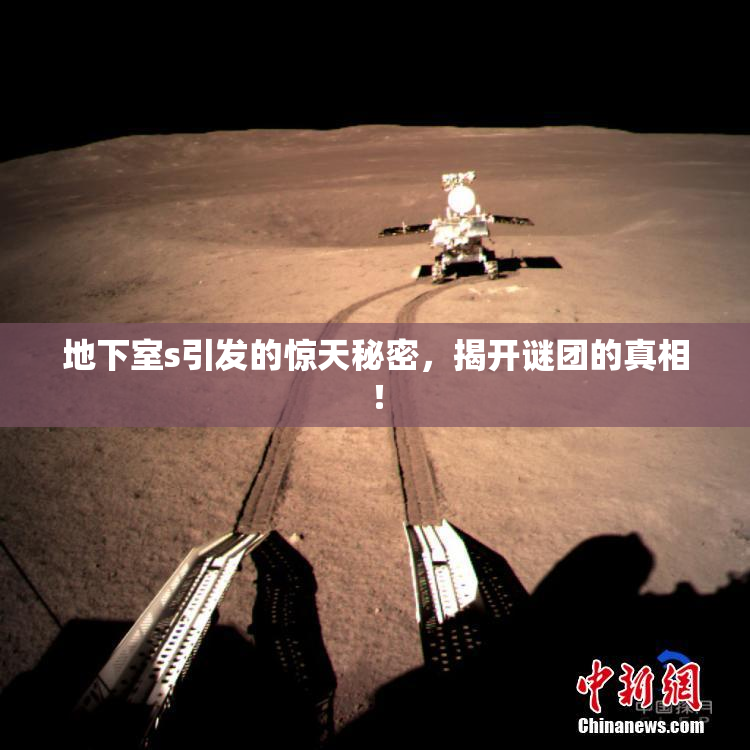 地下室s引发的惊天秘密，揭开谜团的真相！