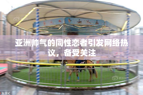 亚洲帅气的同性恋者引发网络热议，备受关注