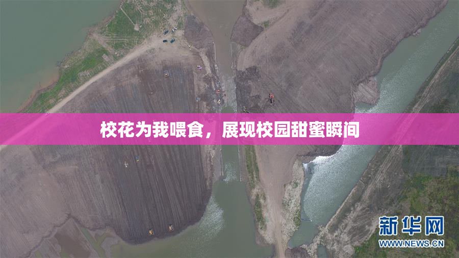 校花为我喂食，展现校园甜蜜瞬间