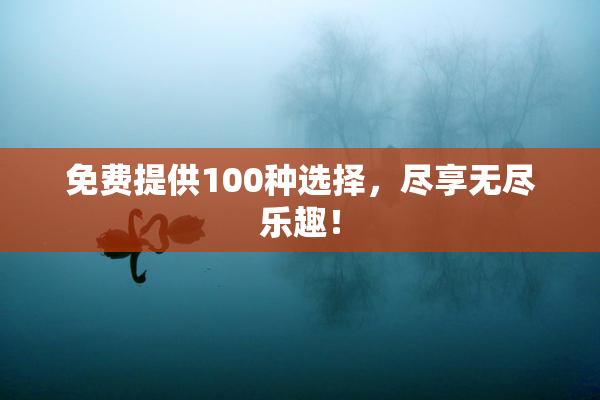 免费提供100种选择，尽享无尽乐趣！