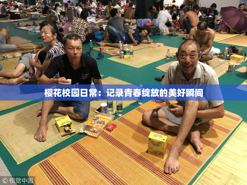 樱花校园日常：记录青春绽放的美好瞬间