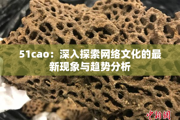 51cao：深入探索网络文化的最新现象与趋势分析