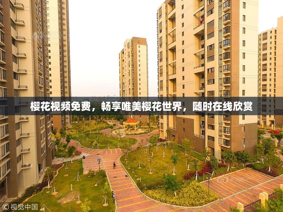 樱花视频免费，畅享唯美樱花世界，随时在线欣赏
