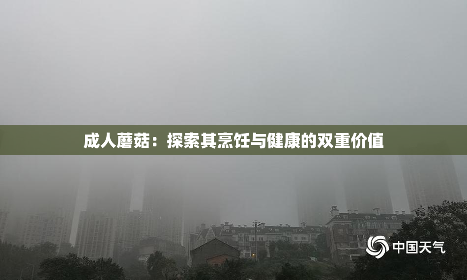 成人蘑菇：探索其烹饪与健康的双重价值