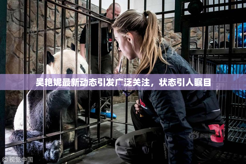 吴艳妮最新动态引发广泛关注，状态引人瞩目