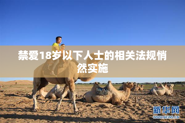 禁爱18岁以下人士的相关法规悄然实施