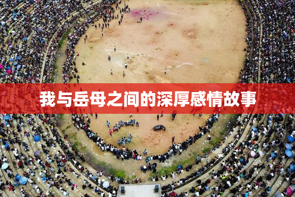 我与岳母之间的深厚感情故事