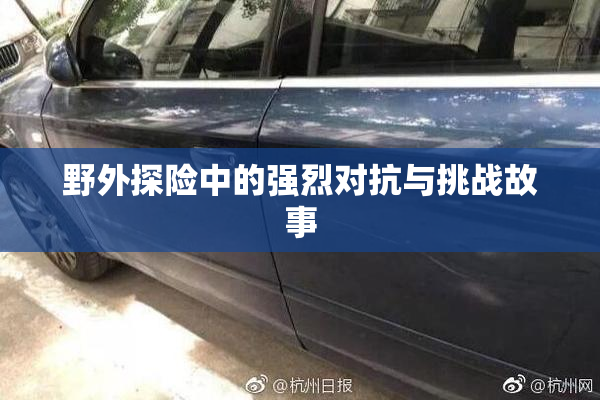 野外探险中的强烈对抗与挑战故事