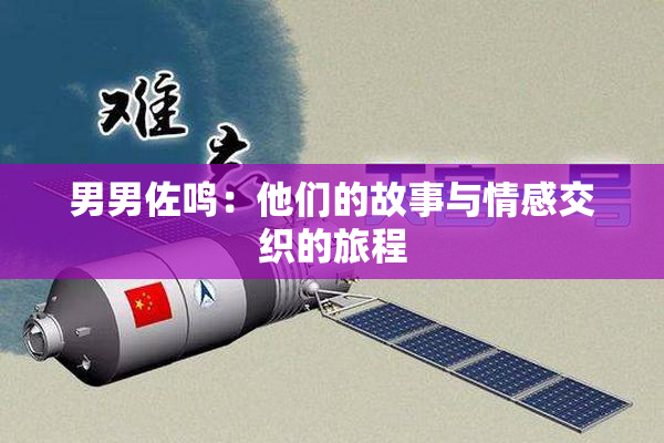 男男佐鸣：他们的故事与情感交织的旅程