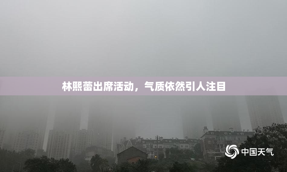 林熙蕾出席活动，气质依然引人注目