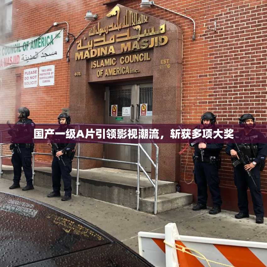 国产一级A片引领影视潮流，斩获多项大奖