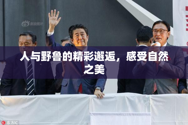 人与野鲁的精彩邂逅，感受自然之美