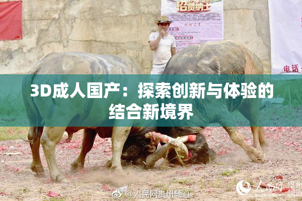 3D成人国产：探索创新与体验的结合新境界