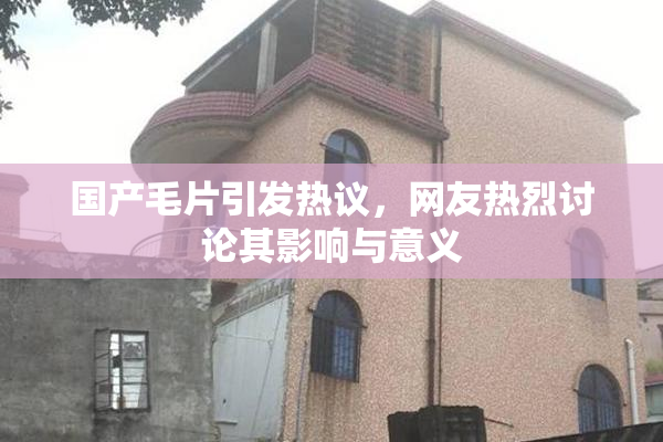 国产毛片引发热议，网友热烈讨论其影响与意义