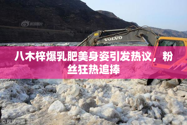 八木梓爆乳肥美身姿引发热议，粉丝狂热追捧