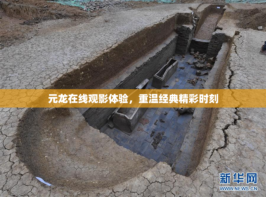 元龙在线观影体验，重温经典精彩时刻