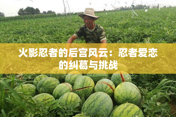 火影忍者的后宫风云：忍者爱恋的纠葛与挑战