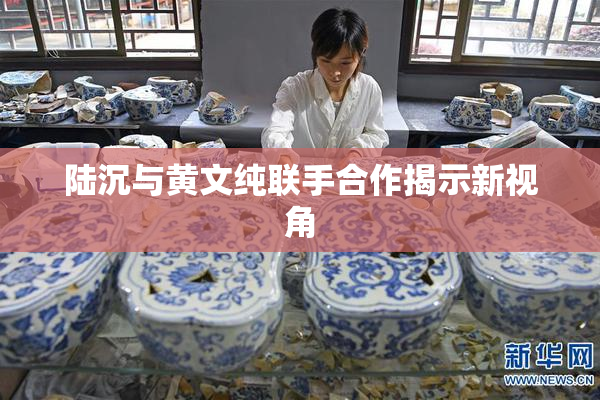 陆沉与黄文纯联手合作揭示新视角