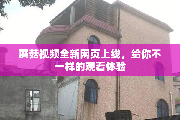 蘑菇视频全新网页上线，给你不一样的观看体验