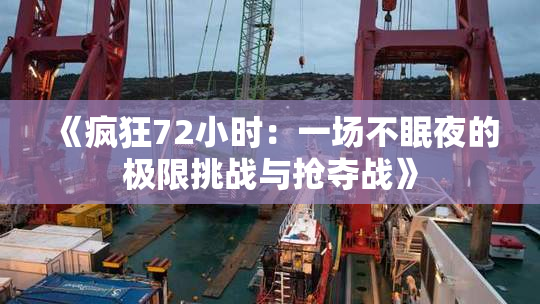 《疯狂72小时：一场不眠夜的极限挑战与抢夺战》