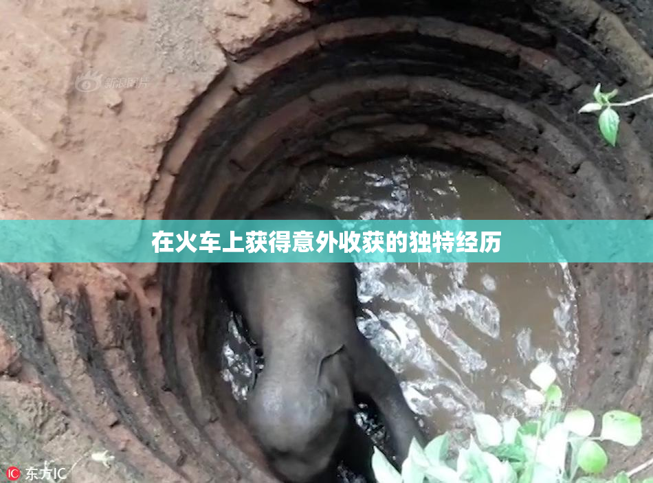 在火车上获得意外收获的独特经历