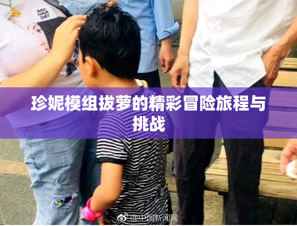 珍妮模组拔萝的精彩冒险旅程与挑战