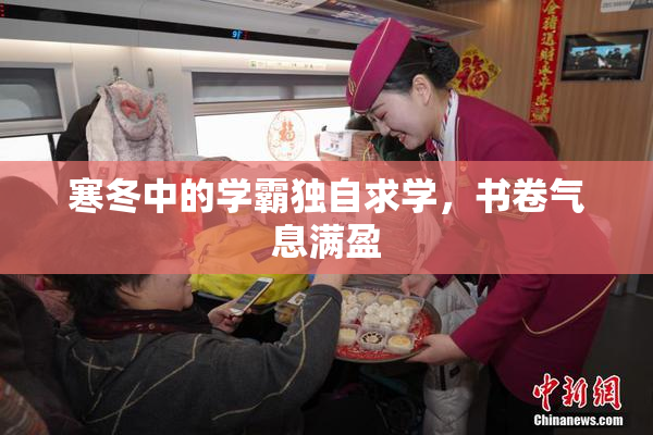 寒冬中的学霸独自求学，书卷气息满盈