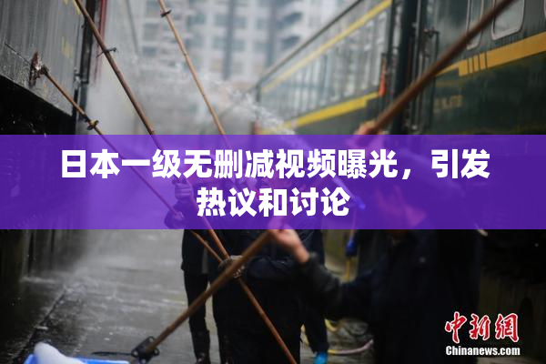 日本一级无删减视频曝光，引发热议和讨论