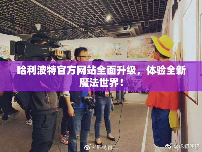 哈利波特官方网站全面升级，体验全新魔法世界！