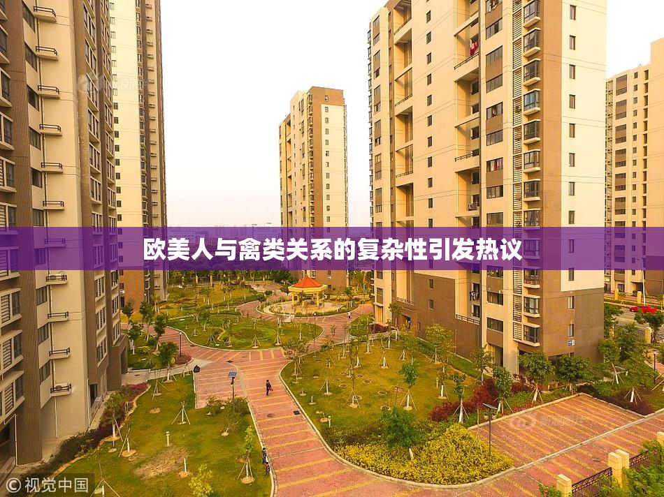 欧美人与禽类关系的复杂性引发热议