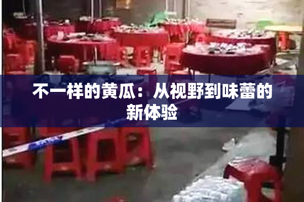 不一样的黄瓜：从视野到味蕾的新体验