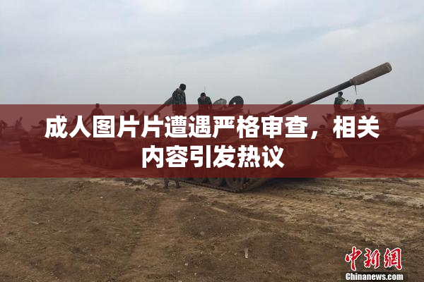 成人图片片遭遇严格审查，相关内容引发热议