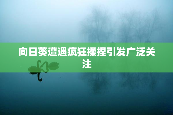 向日葵遭遇疯狂揉捏引发广泛关注