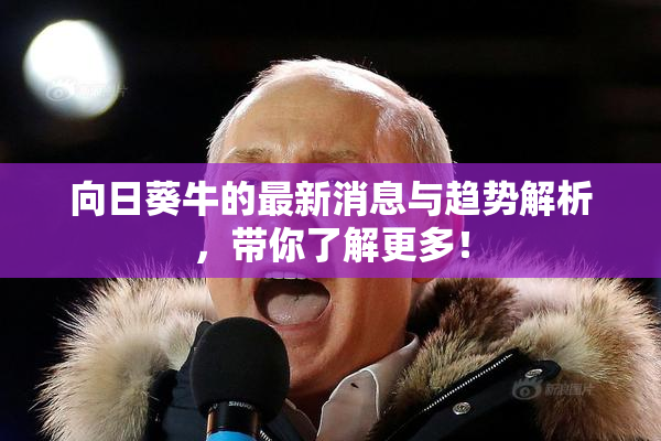 向日葵牛的最新消息与趋势解析，带你了解更多！