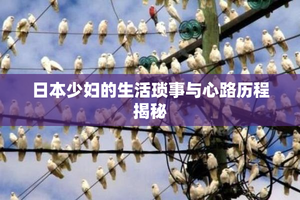 日本少妇的生活琐事与心路历程揭秘