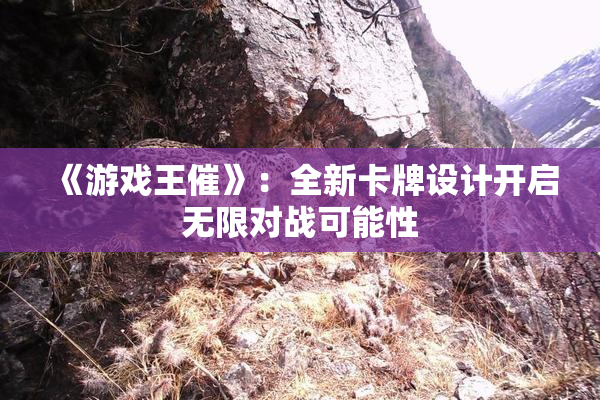 《游戏王催》：全新卡牌设计开启无限对战可能性