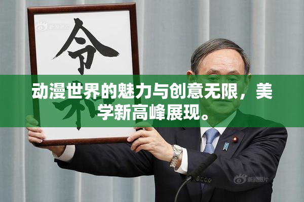 动漫世界的魅力与创意无限，美学新高峰展现。