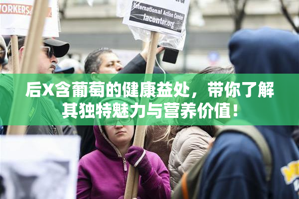 后X含葡萄的健康益处，带你了解其独特魅力与营养价值！