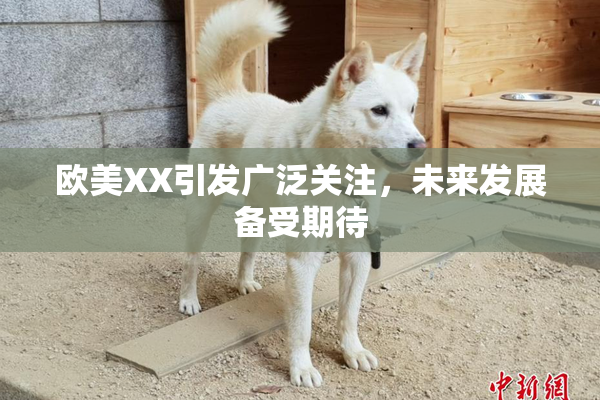 欧美XX引发广泛关注，未来发展备受期待