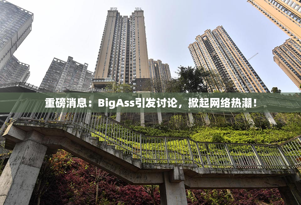 重磅消息：BigAss引发讨论，掀起网络热潮！