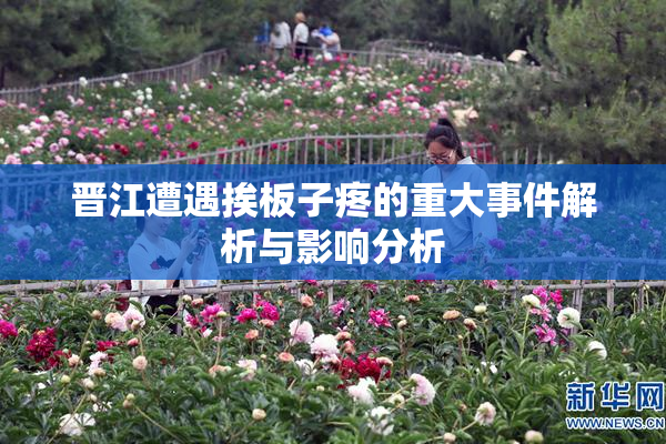 晋江遭遇挨板子疼的重大事件解析与影响分析